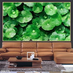 Tranh nhiếp ảnh lá Sen Nhật in gạch