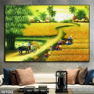 Trang làng quê Việt Nam cánh đồng lúa chín