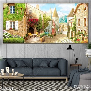 những tòa lâu đài hoa giấy trong thành phố