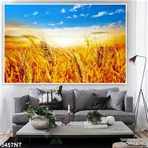 Tranh lúa chính trên đồng treo tường