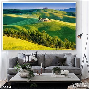 Tranh những ngọn đồi xanh cỏ