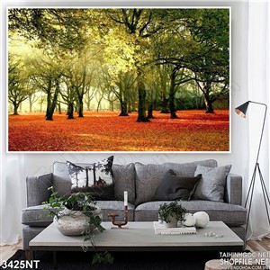 Tranh lá rụng đầy khu rừng xanh
