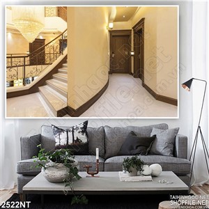 Tranh bên trong ngôi nha sang trọng