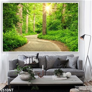 Tranh ánh nắng lấp lánh trong khu rừng