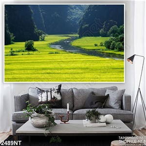 Tranh dòng sông giữa cánh đồng lúa chín