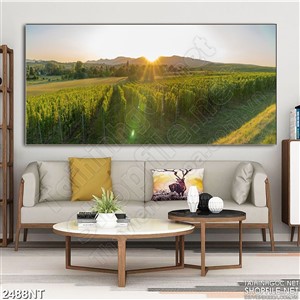 Tranh cánh đồng nho xanh