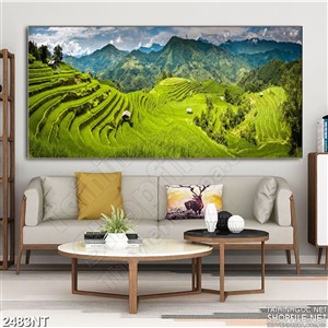 Tranh cánh đồng lúa xanh treo tường