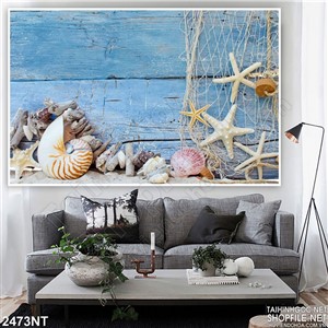 Tranh sao biển và ốc treo tường