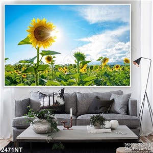 Tranh ánh nắng và hoa hướng dương