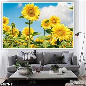 Tranh bông hướng dương treo tường