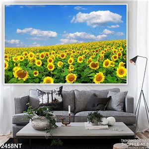 Tranh đồng hướng dương gọi nắng vàng