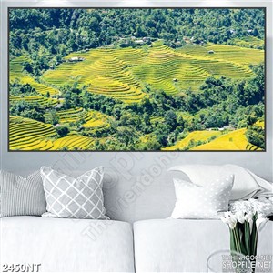 Tranh cánh đồng lúa giữa thung lũng