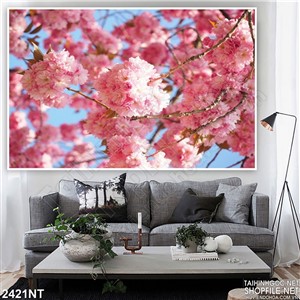 Tranh những bông hoa anh đào trước gió