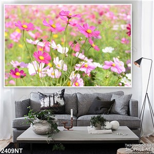 Tranh những cánh hoa mỏng manh