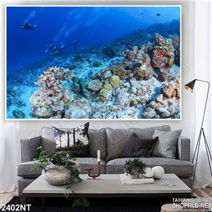 Tranh săn hô dưới đại dương xanh thẳm
