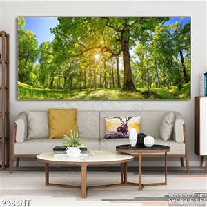 Tranh rừng cây xanh đón bình minh in uv