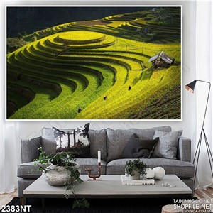 Tranh ruộng bậc thang trên đồi