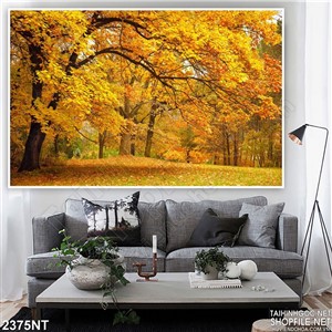 Tranh khu rừng rụng lá mùa thu 3d