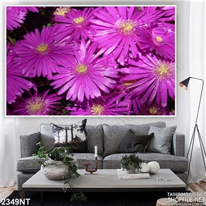 Tranh vườn hoa cúc tím treo tường
