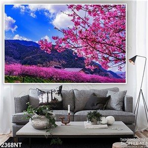 Tranh đất nước hoa anh đào in uv