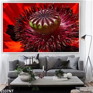 Tranh bông hoa đỏ in uv