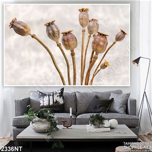 Tranh nụ hoa khô trên tường