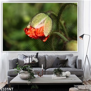 Tranh nụ hoa nở giữa mùa xuân