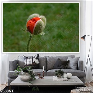 Tranh nụ hoa chớm nở in uv