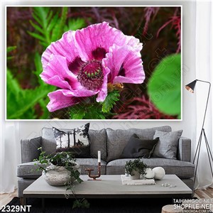 Tranh bông hoa màu hồng xinh đẹp