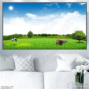 Tranh đàn bò gặm cỏ treo tường