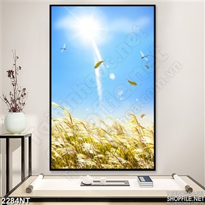 Tranh chuồn chuồn bay cao trong ánh nắng