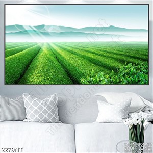 Tranh những hàng chè trên đồi in uv
