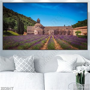 Tranh cánh đồng hoa tím sau nhà