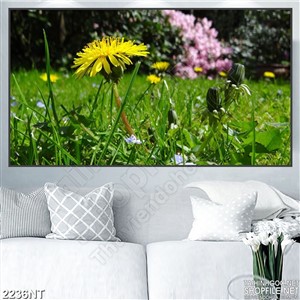 Tranh đồng cỏ hoa treo tường