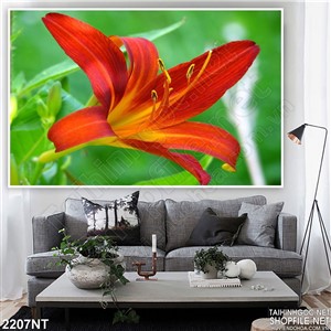 Tranh bông hoa lan đỏ in uv