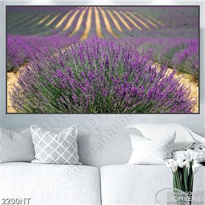 Tranh nhưững hàng hoa tím in uv