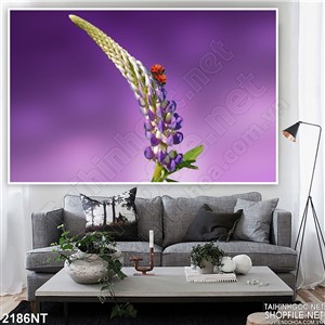Tranh búp hoa trên nền trời tím 3d