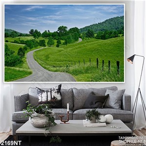 Tranh con đường trên cánh đòng cỏ xanh