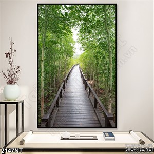 Tranh dọc con đường gỗ trong rừng cây