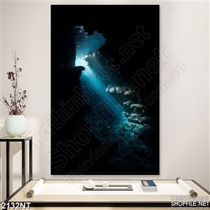 Tranh mõm đá dưới đại dương