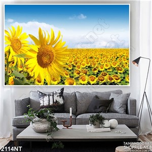 Tranh cánh đồng hướng dương tỏa hương
