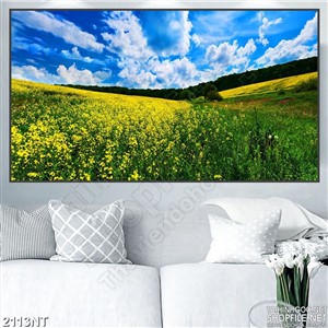 Tranh cánh đồng hoa cải 3d