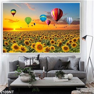 Tranh kinh phí cầu trên đồng hướng dương