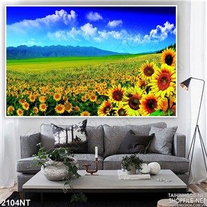 Tranh cánh đồng hướng dương bên đồi