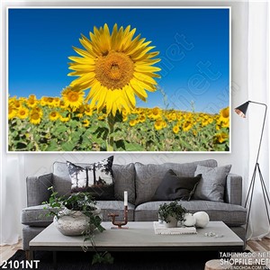 Tranh rừng hướng dương đua nhau khoe sắc