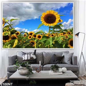 Tranh bông hướng dương vươn cao