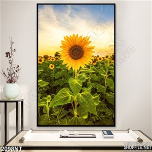Tranh bông hoa hướng dương nở rộ