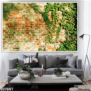 Tranh bức tường dây leo treo tường