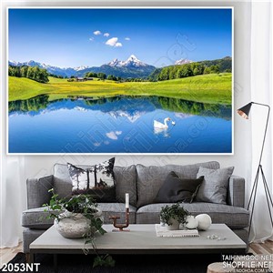 Tranh khung trời hồ thiên nga