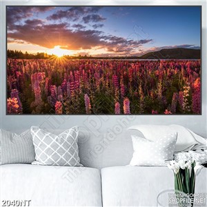 Tranh hoàng hôn trên rừng hoa